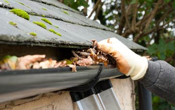 gutter cleaning Tregona, Cornwall